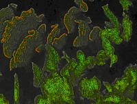 Fluro Lettice Coral Coral Artistic ER1_6265.jpg